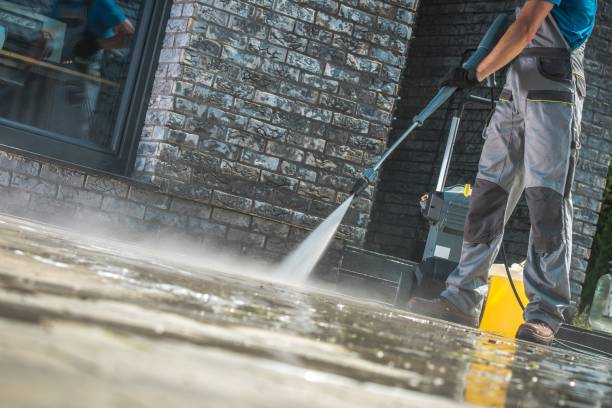 Best Roof Washing  in Fruitville, FL
