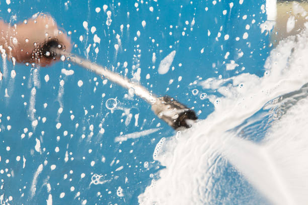 Animal Enclosure Cleaning in Fruitville, FL